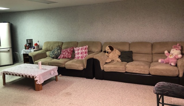 Entire Basement