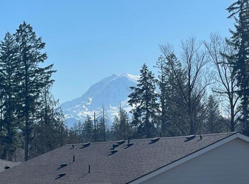 Entire Basement in Puyallup, WA