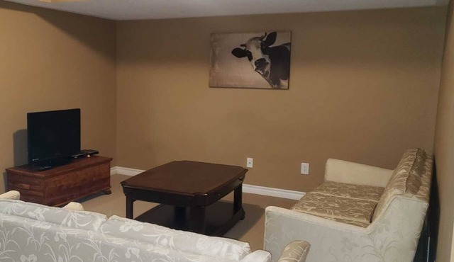 Entire Beautiful house in ottawa