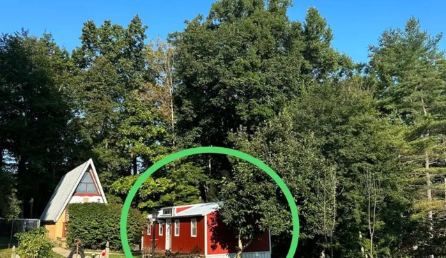 Entire cabin 1 bedroom, 1 sofa bed