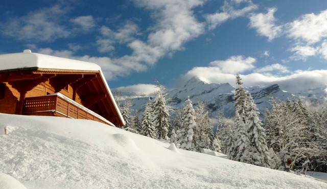 Entire chalet with spectacular view -10 pers