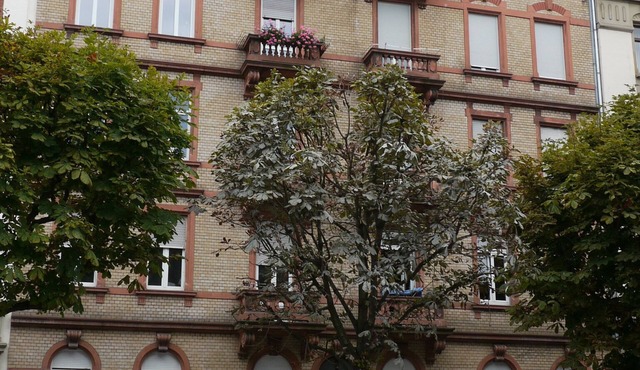 Entire Charming 3 room apartment close to botanical garden and university