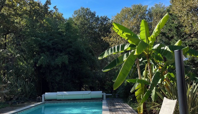 Entire cottage on large wooded plot Ideal for groups of up to 12 people