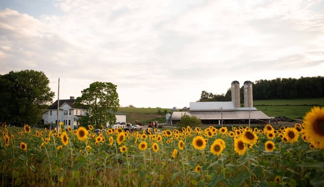Entire Farmhouse -Maple Bottom Farm Bed & Breakfast
