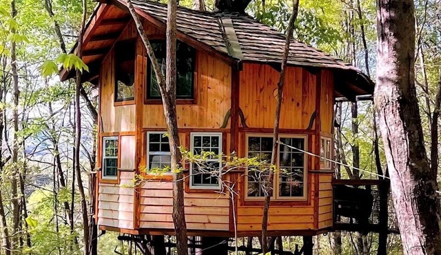 Entire Four Treehouses Resort Perfect for Groups and Outdoor Activities in Copperhill, Tennessee