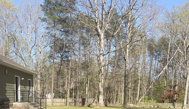 Entire Guest Suite Sleeps 4 Near Historic Lake Anna Private Serene Wilderness
