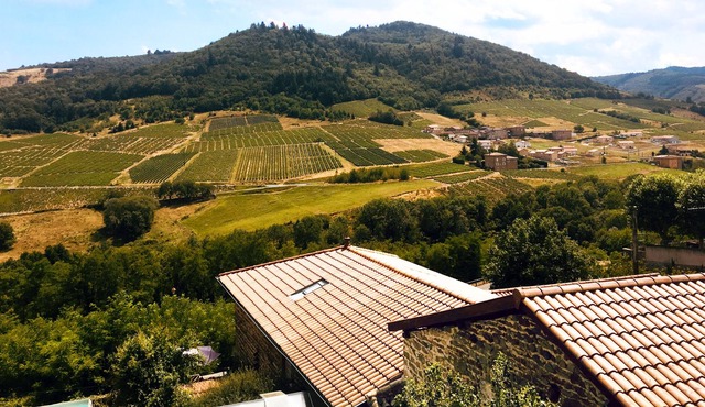 Entire home - 2-room apartment