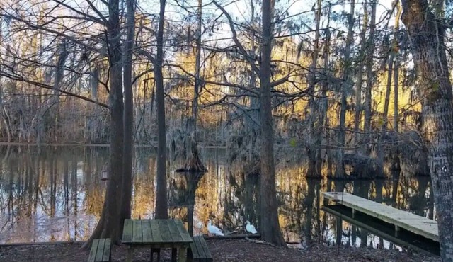 Entire home in Cleveland, Texas