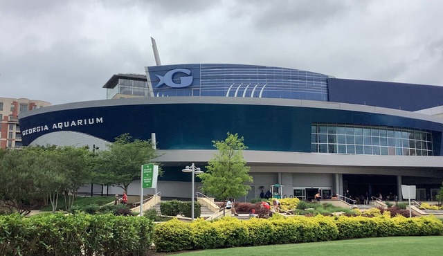 Entire home with jacuzzi and game room for relaxation.