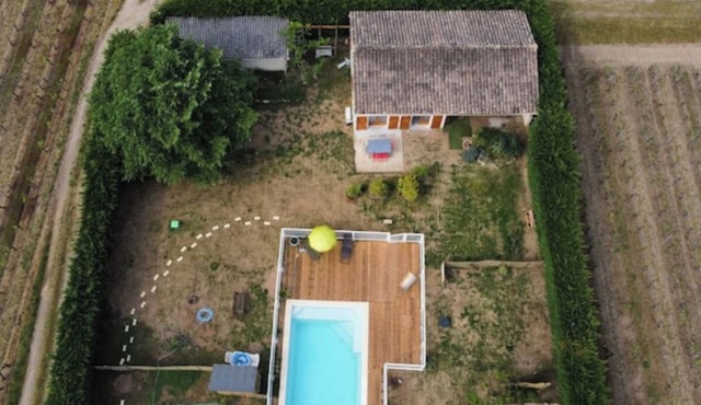 Entire house and pool in the heart of the vines