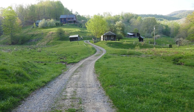Entire house on a remote sheep farm , tended for 45 years
