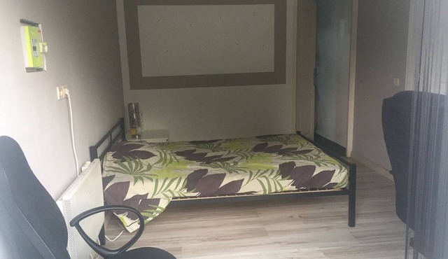 Entire house to rent or separate room