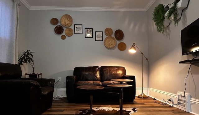 Entire house with backyard in downtown Kingston