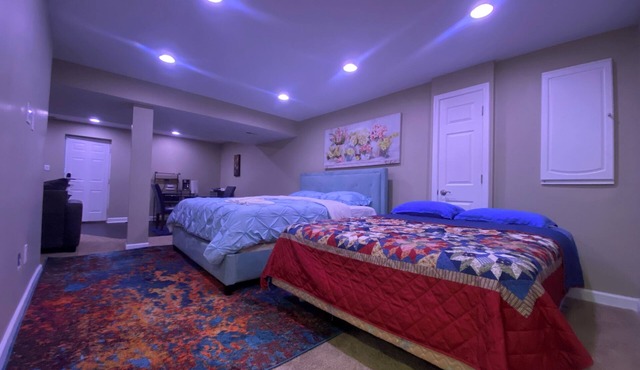 Entire lower level furnished home