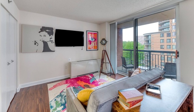 Entire Luxury apt near Downtown D.C. w /FREE Wifi