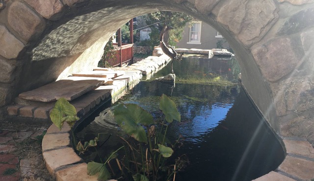 Entire Mermaid Castle with Giant Koi Ponds in Downtown Bisbee