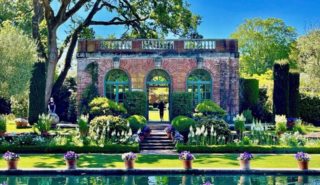 Entire Mountain Cottage Home - Restaurants, Amazing Hiking & Biking Trails