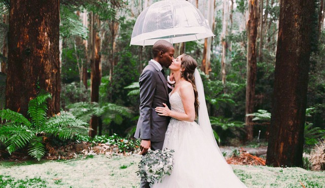 Entire retreat in private rainforest with river. Sleeps20+