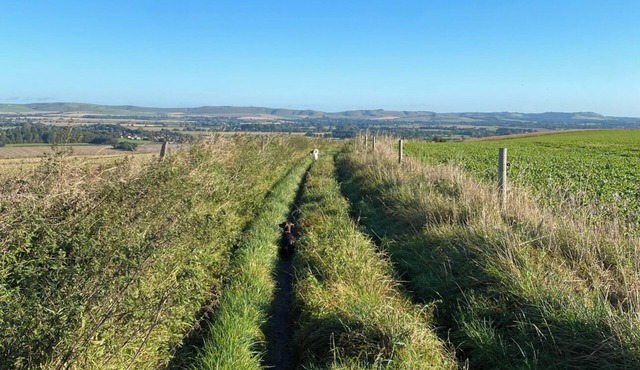 Entire self contained Cellar, Sauna & Gym Suite including breakfast