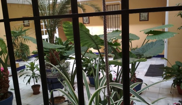 Entire two bedroom apartment