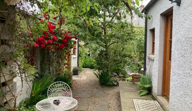 Entire unique tiny house - Moss Cabin