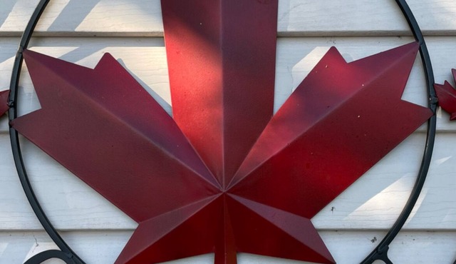 Entire Waterfront Cottage on Hambly Lake