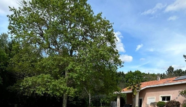 Entre Bordeaux et Arcachon