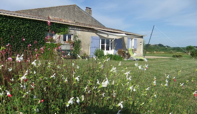 Entre-Deux-Mers (Between the two seas), Bordeaux, Saint-Émilion and Yquem
