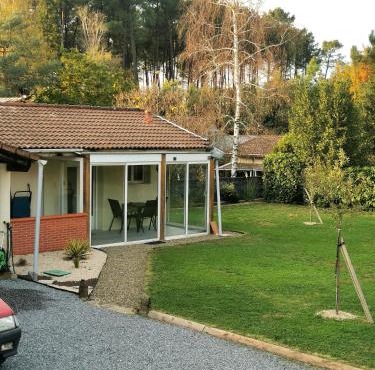 Entre pins et océan