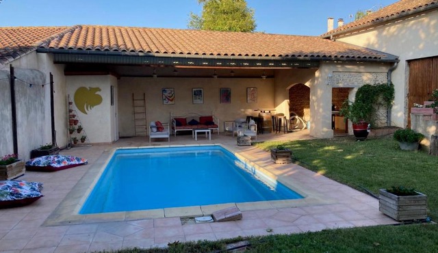 Entre vigne et Camargue