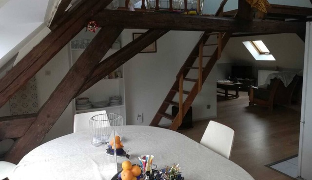 ENTRE VIGNES ET RIVIERES: an ideal gite for families visiting the BFC region