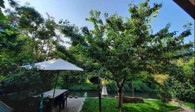 Entre ville & campagne (jardin avec rivière)