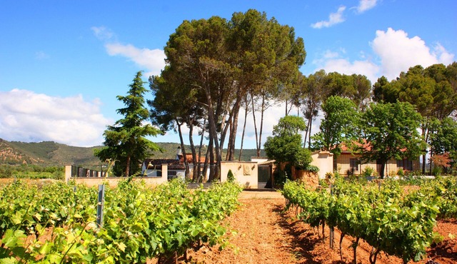 Entreviñedos del Somontano, ideal for families and groups of friends with pool!