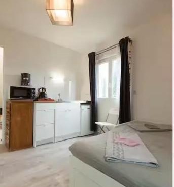 Envol du Phénix - Studio Phenix 20 m² avec jardin