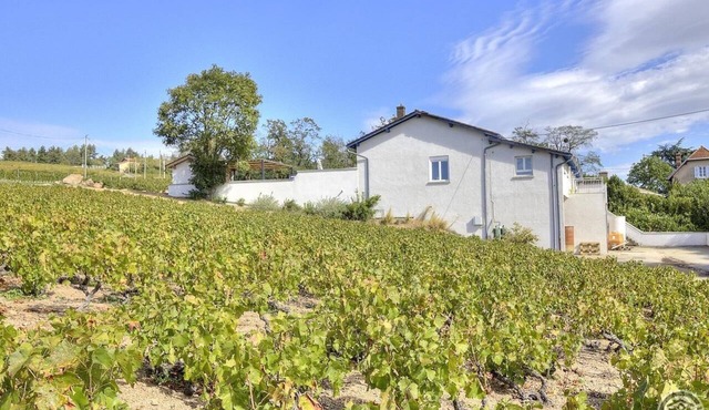 Envol et Vigne - Saint Etienne LA Varenne