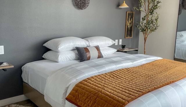 Epic Lake Views*Couples*Modern Luxury*King Bed