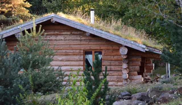 "Epicéa": unusual log cabin in the heart of Auvergne nature