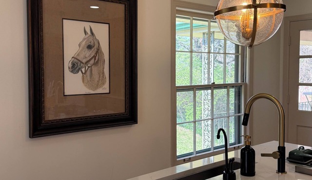 Equestrian Derby Escape