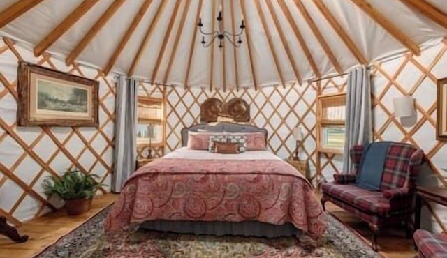 Equestrian Elegance - Unit #8
