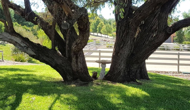 Equestrian Farm Stay