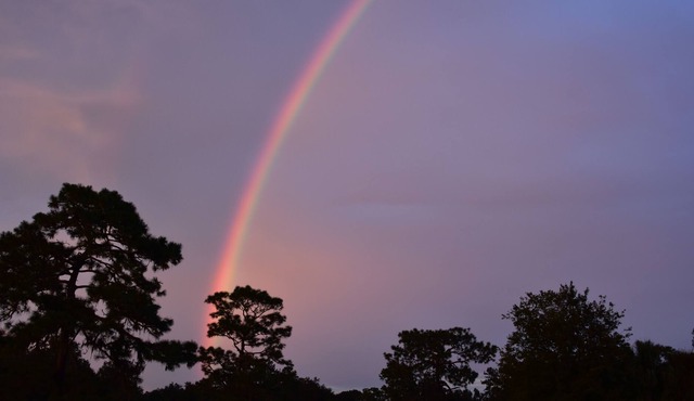 Equine Friendly- Studio Apartment & 6 Stalls