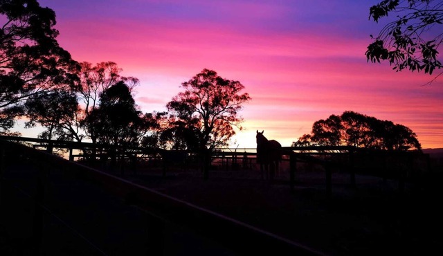 Equine retreat stay with silver medal Olympian