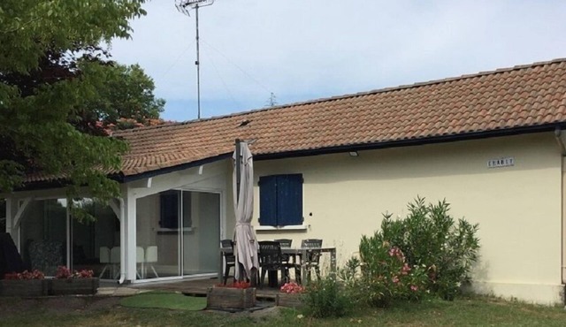 Erable - Ste-eulalie-en-born