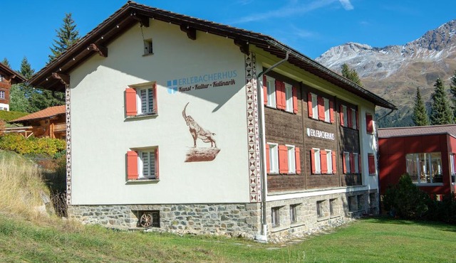Erlebacherhus