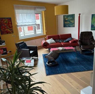 ESC-Basel-Flat - Whole rent to save our MUSICAL THEATER BASEL