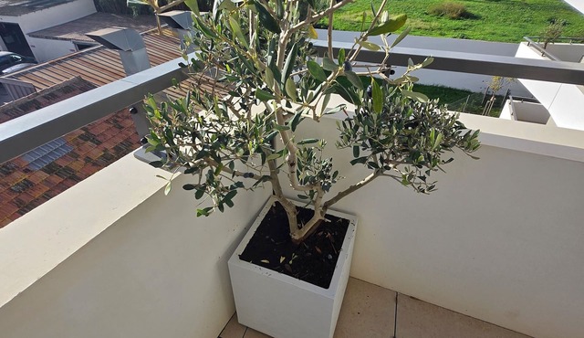 Escale Cozy: Between Sea and Mountain Mobility Lease