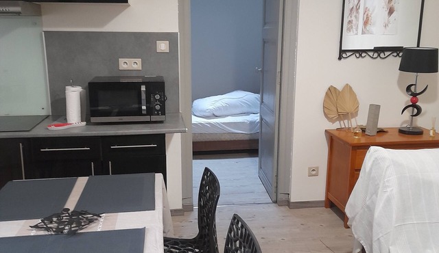 Escale Voltaire, T2, 32 m2 au Calme, Centre Historique