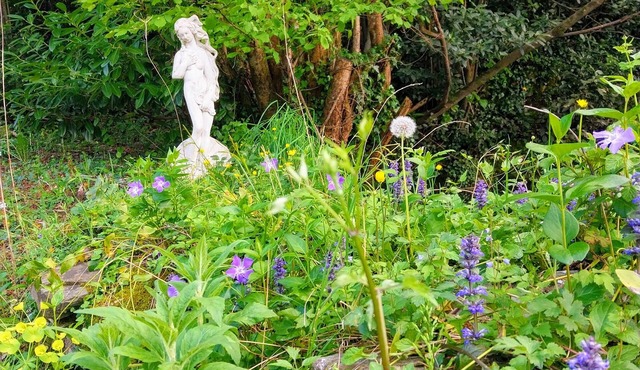 Escapée belle en cévennes Pets welcome!