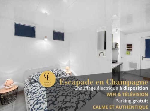 Escapade en Champagne - Modern, Wifi, 2 pers