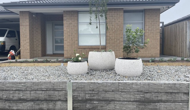 Escape and Enjoy . Free WIFi